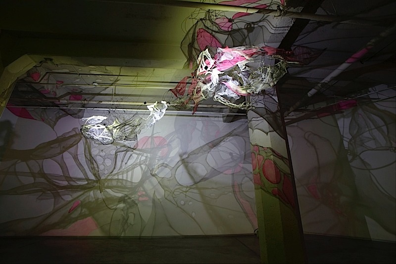 01 lightsense Dana Major