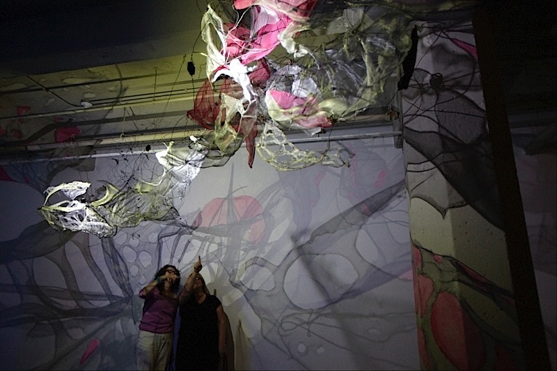 02 lightsense Dana Major